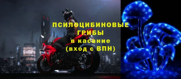 гидра Киренск