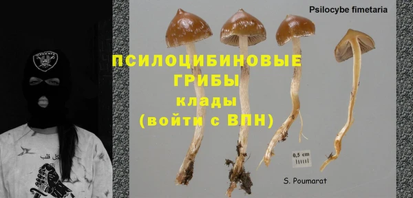 кокс Козловка