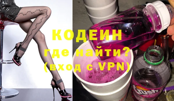 индика Корсаков