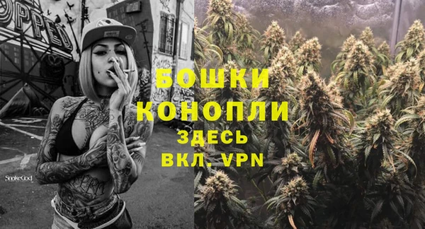 индика Корсаков