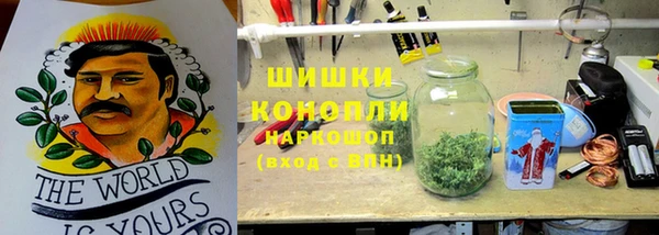 ALPHA PVP Коряжма