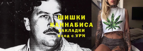 индика Корсаков
